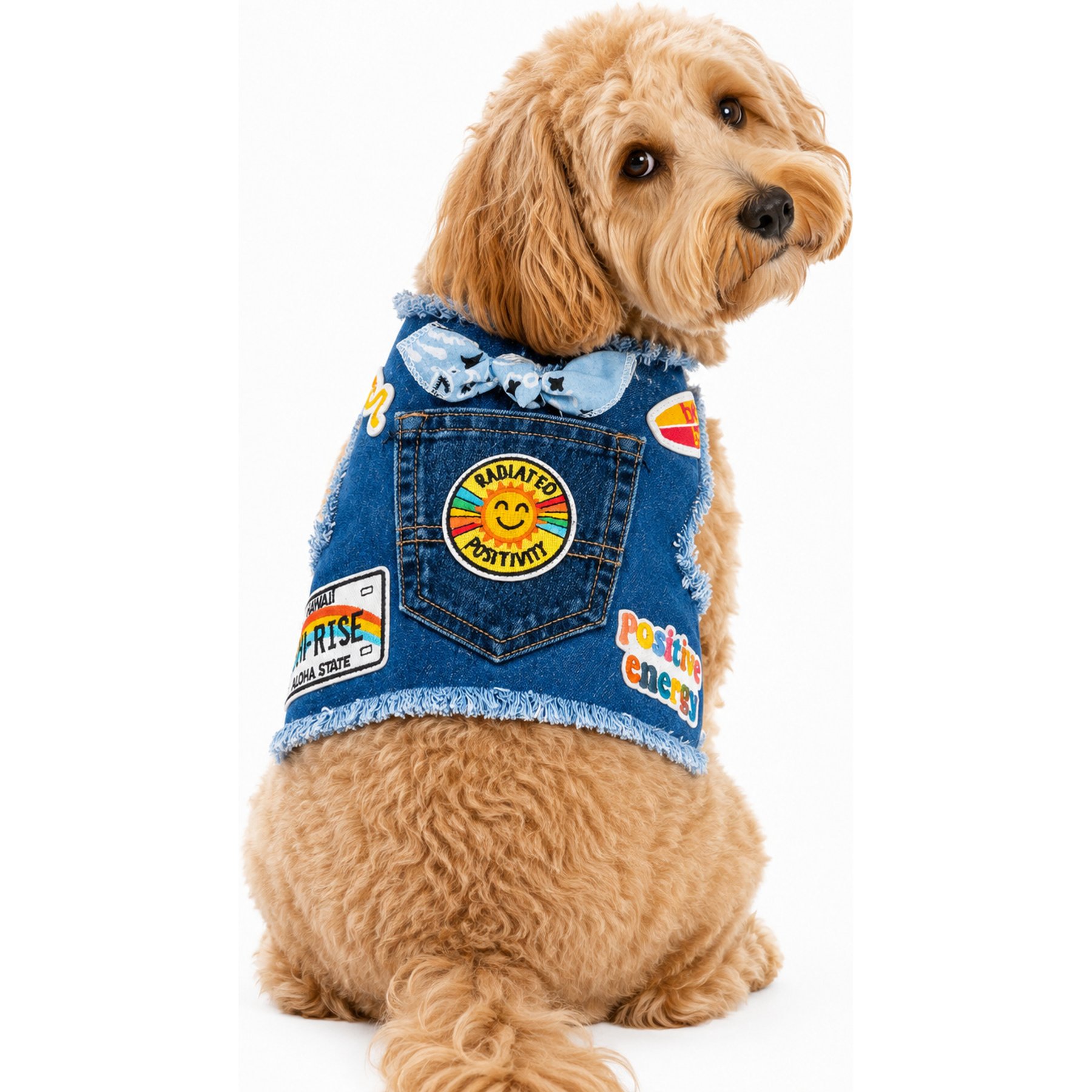 Heads or Tails Pup Positivity Dog Harness, Blue Denim, Medium: 19 to 22-in chest