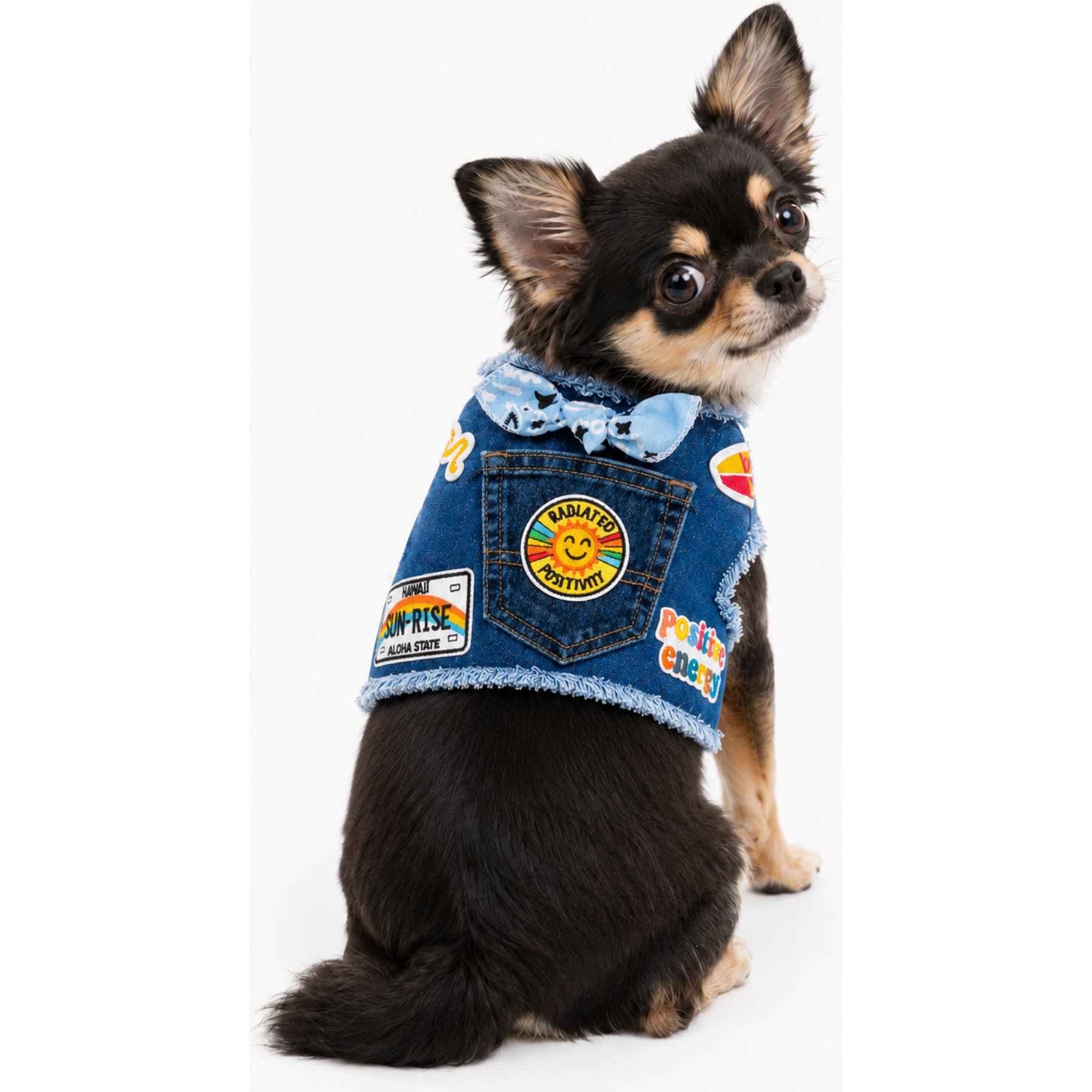 Heads or Tails Pup Positivity Dog Harness, Blue Denim, XX-Small: 10 to 12-in chest