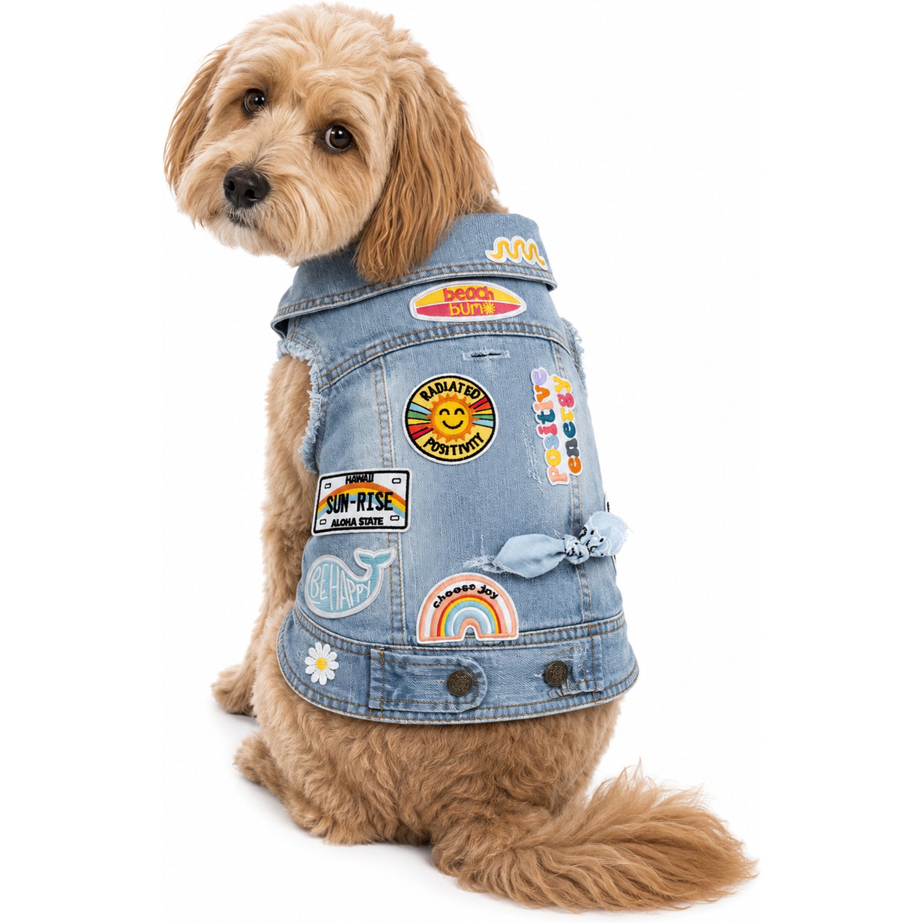 Heads or Tails Pup Positivity Leash Opening Dog Vest, Blue Denim, X-Large