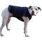 Show in main carousel: Healers Anxiety Vest for Dogs, Large, Front Module slide 1 of 6