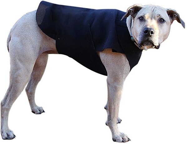 Healers Anxiety Vest for Dogs