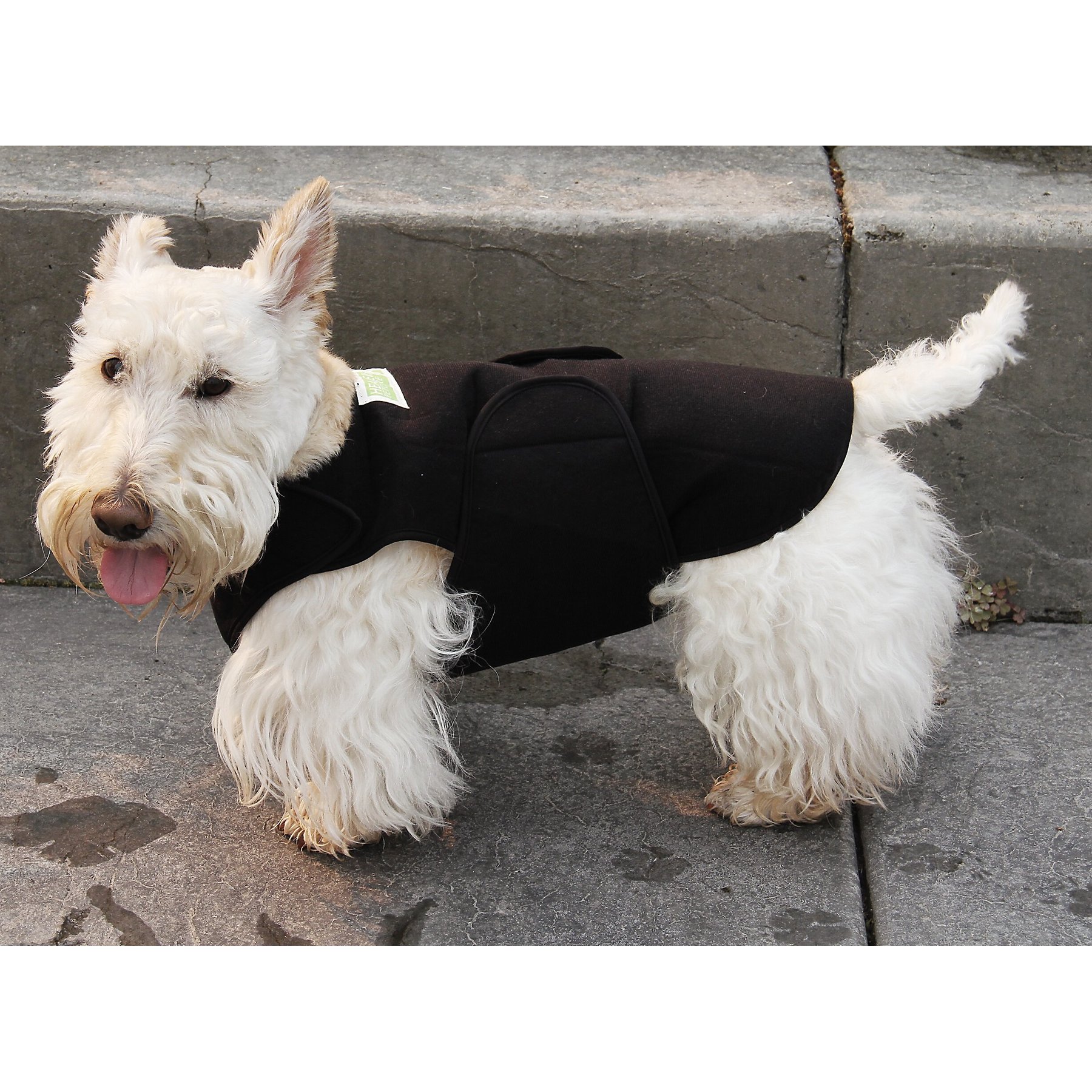 Healers Anxiety Vest for Dogs, X-Small, Front Module