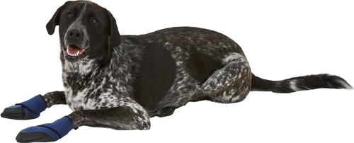 Show full view: Healers Booties & Gauze Inserts for Dogs, X-Large slide 4 of 11