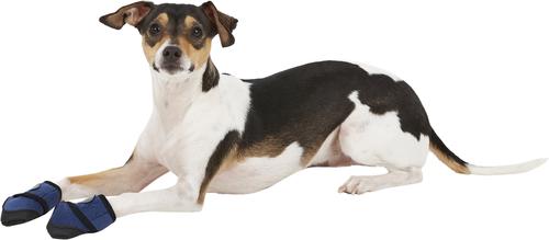 Show full view: Healers Booties & Gauze Inserts for Dogs, X-Small slide 4 of 11