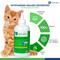 Show in main carousel: Healers Ear & Eye Wash Solution Dog & Cat Spray, 8-fl oz bottle slide 4 of 7