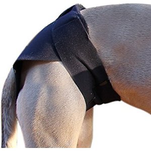 Healers Rear Anxiety Vest for Dogs, Medium