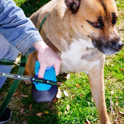 Show full view: Healers Urban Walker III Waterproof Dog Boots, Orange, Large  slide 8 of 11