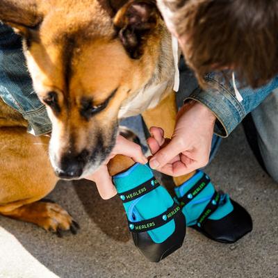 Show full view: Healers Urban Walker III Waterproof Dog Boots, Orange, Medium slide 9 of 11