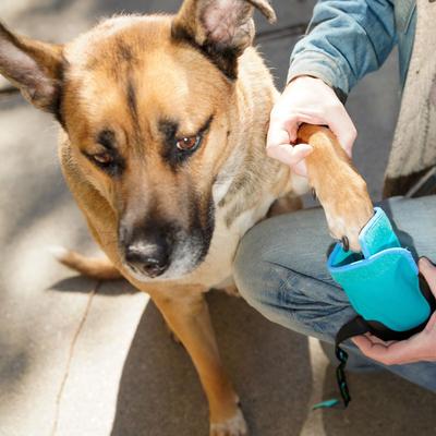 Show full view: Healers Urban Walker III Waterproof Dog Boots, Teal, X-Large slide 6 of 10