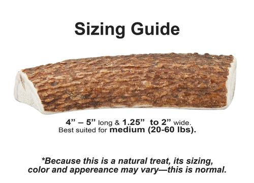 Show full view: Health Extension 4" Sliced Elk Antler, Medium slide 3 of 8