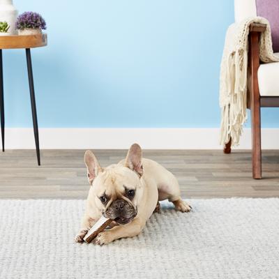 Show full view: Health Extension 4" Sliced Elk Antler, Medium slide 4 of 8