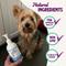 Show in main carousel: Health Extension Advanced Immunity+ Liquid Supplement for Dogs, 9-fl oz bottle slide 7 of 10