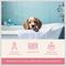 Show in main carousel: Health Extension ARI Probiotic Flea & Tick Dog Shampoo, 16-fl oz bottle slide 6 of 7
