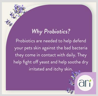 Show full view: Health Extension ARI Probiotic Lavendar & Eucalyptus Dog Deodorizer Spray, 8-fl oz bottle slide 6 of 8