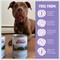 Show in main carousel: Health Extension Carolina Skillet Pork Recipe Grain-Free Wet Dog Food, 12.5-oz can, case of 12 slide 8 of 11