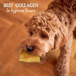 Health Extension Cheek Chews Beef Dog Chew, 1 count slide 2 of 4