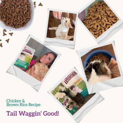 Show full view: Health Extension Chicken & Brown Rice Recipe Dry Cat Food, 4-lb bag slide 8 of 11