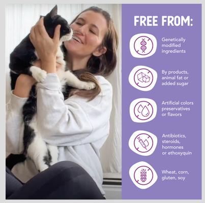 Show full view: Health Extension Chicken in Gravy Grain-Free Wet Cat Food, 2.8-oz can, case of 24 slide 8 of 9