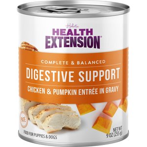 Health Extension Digestive Support Chicken & Pumpkin Entrée in Gravy Dog Food, 9-oz can, case of 12