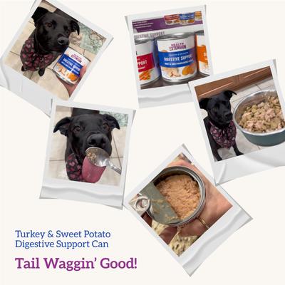 Show full view: Health Extension Digestive Support Turkey & Sweet Potato Entrée in Gravy Dog Food, 9-oz can, case of 12 slide 10 of 10