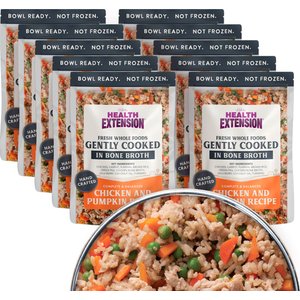 Health Extension Gently Cooked Chicken & Pumpkin Recipe Wet Dog Food, 9-oz pouch, 10 count