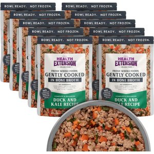 Health Extension Gently Cooked Duck & Kale Recipe Wet Dog Food, 9-oz pouch, 10 count