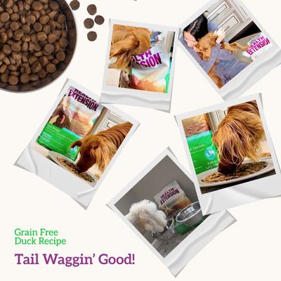 Show full view: Health Extension Grain-Free Duck & Sweet Potato Recipe Dry Dog Food, 23.5-lb bag slide 8 of 11