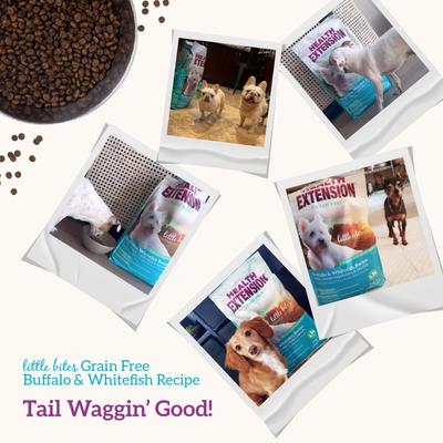 Show full view: Health Extension Grain-Free Little Bites Buffalo & Whitefish Recipe Dry Dog Food, 10-lb bag slide 9 of 12