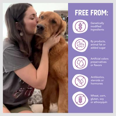 Show full view: Health Extension Grain-Free New York Style Beef Recipe Canned Dog Food, 12.5-oz, case of 12 slide 7 of 10