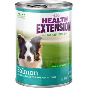 Health Extension Grain-Free Salmon Entree Canned Dog Food, 12.5-oz, case of 12