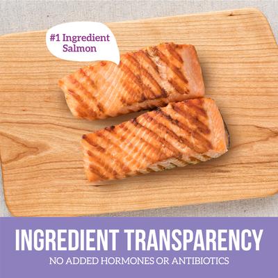 Show full view: Health Extension Grain-Free Salmon Entree Canned Dog Food, 12.5-oz, case of 12 slide 9 of 12