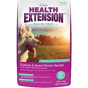 Health Extension Grain-Free Salmon Recipe Dry Dog Food, 10-lb bag