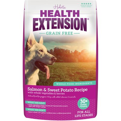 Health Extension Health Extension Salmon Recipe Dry Dog Food, 10-lb