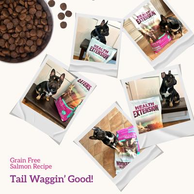 Show full view: Health Extension Grain-Free Salmon Recipe Dry Dog Food, 10-lb bag slide 9 of 13