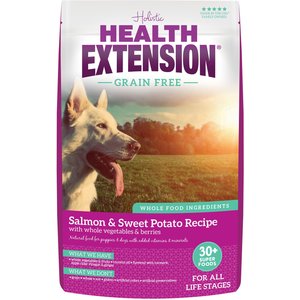 Health Extension Grain-Free Salmon Recipe Dry Dog Food, 4-lb bag