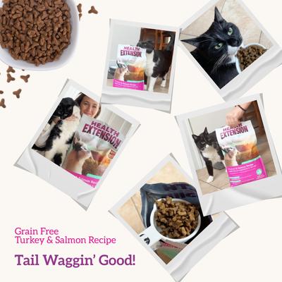 Show full view: Health Extension Grain-Free Turkey & Salmon Recipe Dry Cat Food, 15-lb bag slide 8 of 11