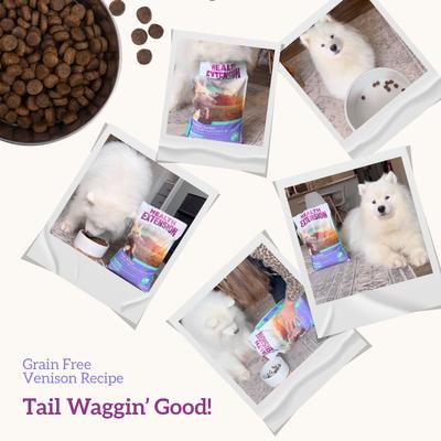 Show full view: Health Extension Grain-Free Venison & Sweet Potato Recipe Dry Dog Food, 4-lb bag slide 9 of 12