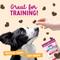 Show in main carousel: Health Extension Impawfect Bacon Flavored Soft & Chewy Training Dog Treats, 4-oz bag slide 5 of 9