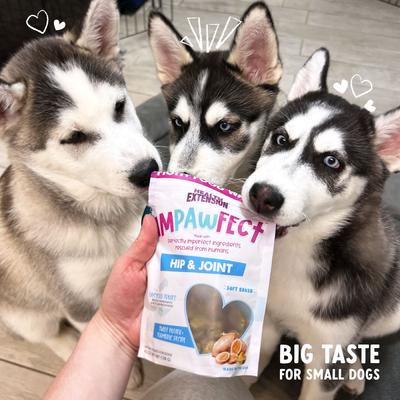 Show full view: Health Extension Impawfect Hip & Joint Support Sweet Potato & Turmeric Flavored Soft & Chewy Dog Treats, 4.5-oz bag slide 8 of 9