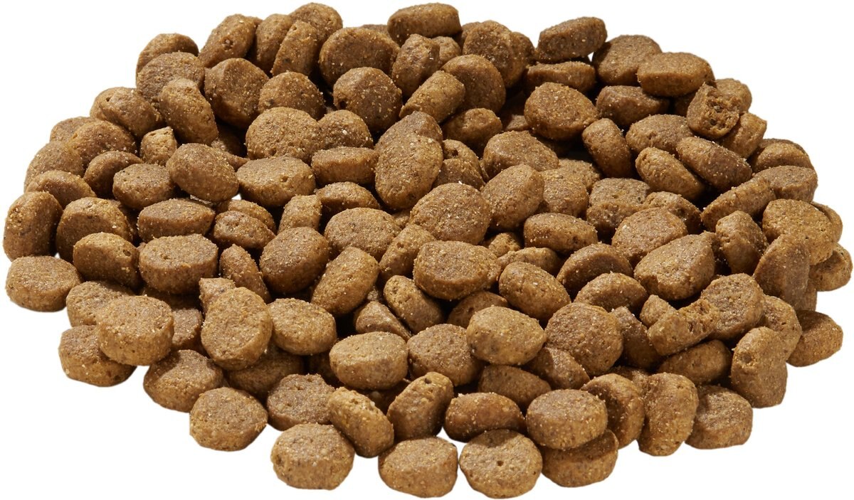 HEALTH EXTENSION Large Bites Chicken & Brown Rice Recipe Dry Dog Food