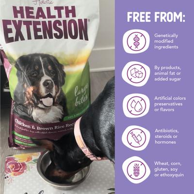 Show full view: Health Extension Large Bites Chicken & Brown Rice Recipe Dry Dog Food, 30-lb bag slide 8 of 12
