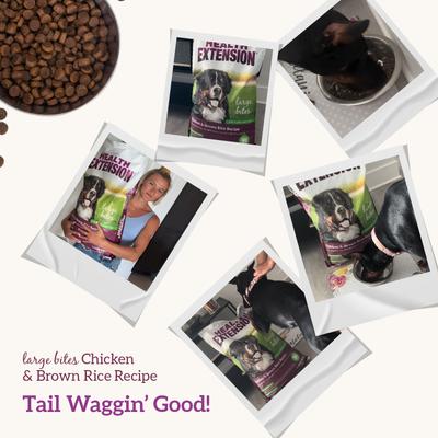 Show full view: Health Extension Large Bites Chicken & Brown Rice Recipe Dry Dog Food, 30-lb bag slide 10 of 12