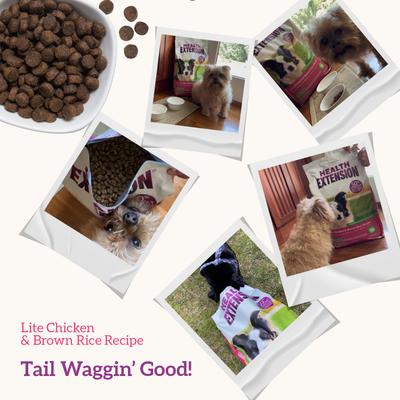 Show full view: Health Extension Lite Chicken & Brown Rice Recipe Dry Dog Food, 15-lb bag slide 9 of 11