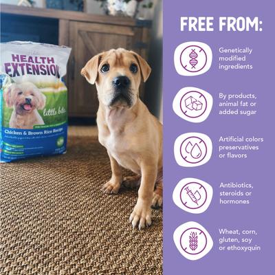 Show full view: Health Extension Little Bites Chicken & Brown Rice Recipe Dry Dog Food, 18-lb bag slide 8 of 13