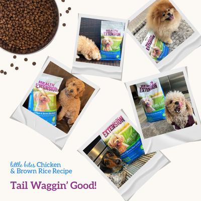 Show full view: Health Extension Little Bites Chicken & Brown Rice Recipe Dry Dog Food, 18-lb bag slide 10 of 13