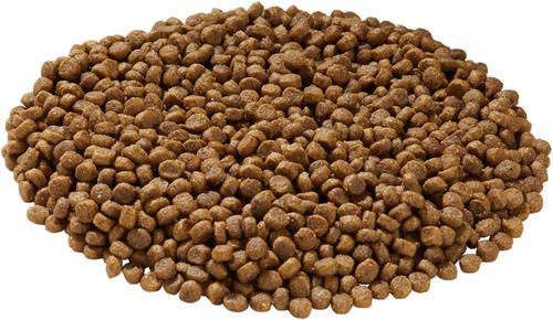 Show full view: Health Extension Little Bites Chicken & Brown Rice Recipe Dry Food + Super Bites Chicken Recipe Freeze-Dried Raw Dog Food Mixer slide 5 of 9