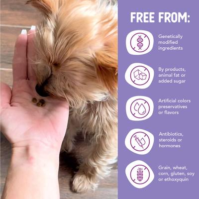 Show full view: Health Extension Little Bites Grain-Free Salmon Recipe Dry Dog Food, 12-lb bag slide 7 of 11