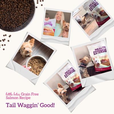 Show full view: Health Extension Little Bites Grain-Free Salmon Recipe Dry Dog Food, 3.5-lb bag slide 9 of 11