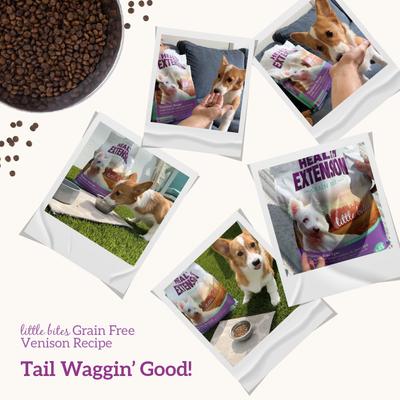 Show full view: Health Extension Little Bites Grain-Free Venison & Sweet Potato Recipe Dry Dog Food, 12-lb bag slide 9 of 10