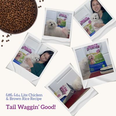 Show full view: Health Extension Little Bites Lite Chicken & Brown Rice Recipe Dry Dog Food, 4-lb bag slide 10 of 12